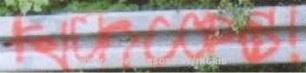 FuCk COPS!
