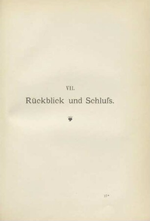 VII. Rückblick und Schluss
