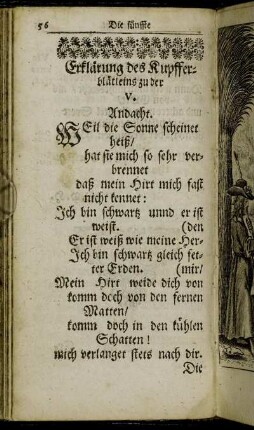 [Die fünffte Andacht/ über das Hohelied Salomonis.]