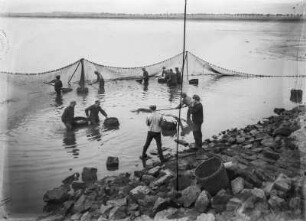 Abfischen : Abfischen in Wermsdorf?