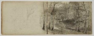 Wald