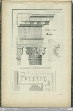 Tafel XII. Haupt-Gesims der Jonica