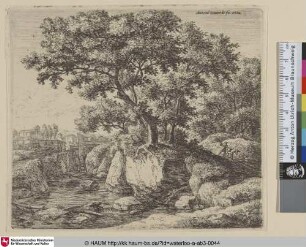 [Landschaft mit einem Strom; The mule driver]
