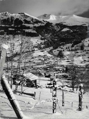 Blick auf Lenk