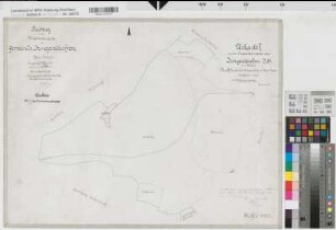 Irmgarteichen (Netphen), Separation von Irmgarteichen, Urkarte I Flur 3