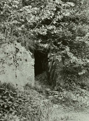 Dorfhain, Kr. Sächsische Schweiz-Osterzgebirge, Silbersegen Stolln, Mundloch im Tal der Wilden Weißeritz