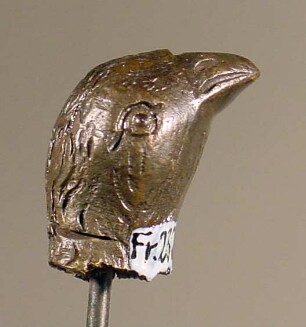 Kopf eines Vogels
