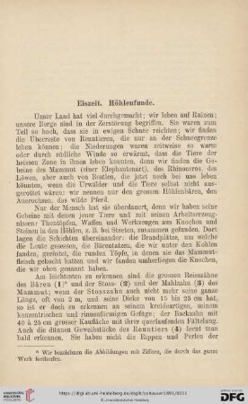 Eiszeit. Höhlenfunde