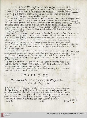 Caput XX: De Glandulis Maxillaribus, Sublingualibus Vvula et Amygdalis