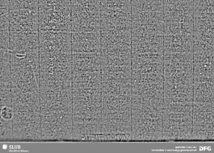 Wasserzeichen S. 81_82
