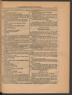 Capítulo XXI - El capitán inválido