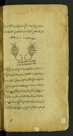 Illustration: f. 58v-64v