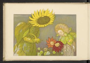 Sonnenblume und Georgine.