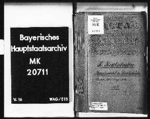 Realschulen. Berufswahl der Realschüler (Übertritt in Lehrerbildungsanstalten).