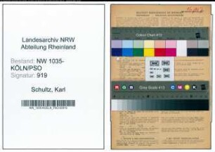 Entnazifizierung Karl Schultz , geb. 22.01.1897 (Dreher)