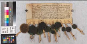 Erneute Vereinigung der Städte des Bistums Münster, (vgl. auch PRU 95b)