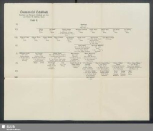 Stammtafel Schilbach Tafel II