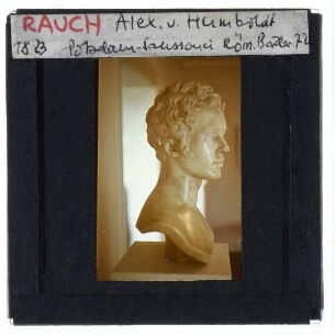 Rauch, Büste Alexander von Humboldt