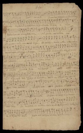 Basso (Miserere mei deus)