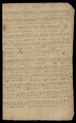 Basso (Miserere mei deus)