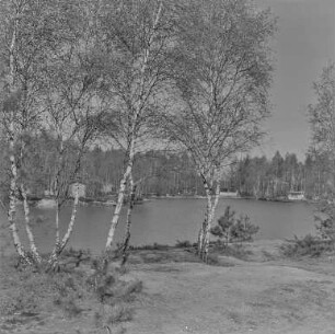 Waldsee Biehain : Blick über den Waldsee Biehain
