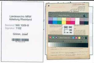 Entnazifizierung Josef Grimm , geb. 09.07.1899 (Pfleger)