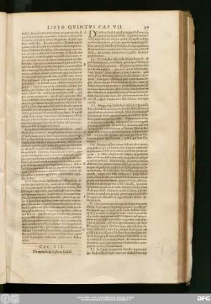 Cap. VII. De mendaciis historiae Iudith.