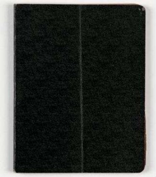 [Notizbuch VIII]