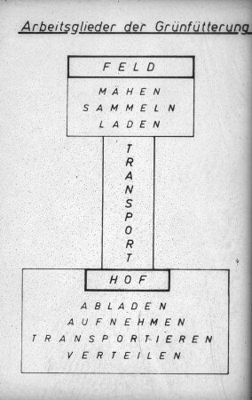 Arbeitsglieder der Grünfütterung