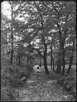 Blick in den Schustehruspark
