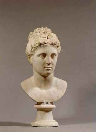 Büste des Apollon