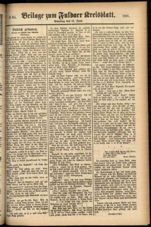 Zweite Ausgabe vom Dienstag, den 11. Juni 1901.
