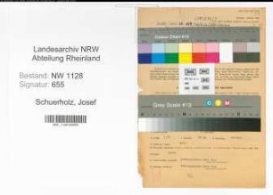 Entnazifizierung Josef Schuerholz , geb. 26.02.1891 (Buergermeister)
