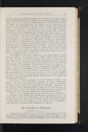 Die Kosaken in Tönning