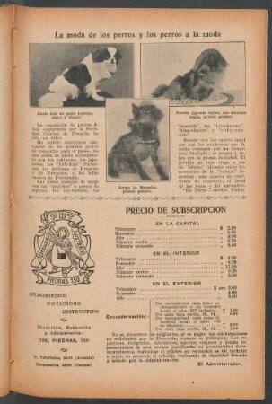 La moda de los perros y los perros a la moda