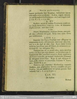Cap. VI. De Rebus