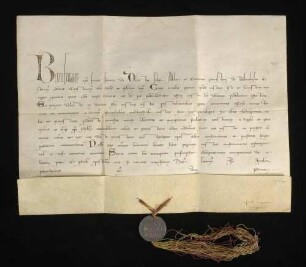 Papst Bonifatius VIII. bestätigt dem Kloster Bebenhausen alle ihm vom päpstlichen Stuhl, Königen und Fürsten sowie sonstigen Gläubigen verliehenen Freiheiten und Immunitäten.
