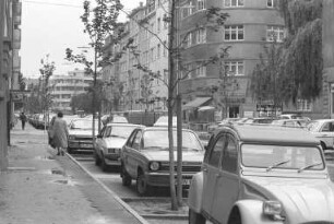 Anpflanzung von Bäumen in der Gebhardstraße
