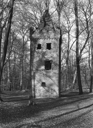 Klosterruine St. Wolfgang; Hanau, Krummer Tannenschlag