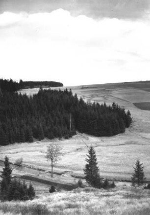 Erzgebirge. Wiesenmulde (Delle) und Tal am Waldrand