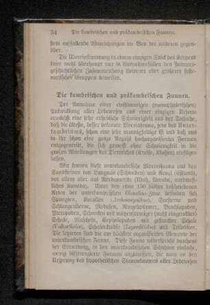 Die kambrischen und präkambrischen Faunen.