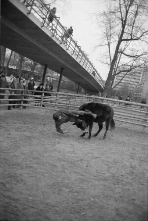 Winteraufenthalt der Zirkusdarsteller Helmbrecht und Karin Hoppe mit ihren "unreitbaren" Eseln im Karlsruher Zoo
