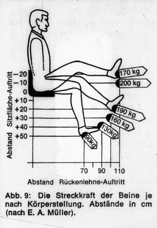 Die Streckkraft der Beine je nach Körperstellung. Abstände in cm (nach E. A. Müller)