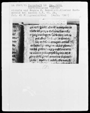 Martyrologium Cisterciensis
