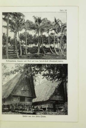 Kokospalmen, Lagune und Dorf auf dem Jaluit-Atoll (Marschall-Inseln)