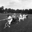 Sportplatz: 25-jähriges Jubiläum des Jugend und Sport (JuS) Fischbek von 1958 e. V.: Spielfest: Kind und Erwachsene beim Tauziehen: hinten weitere Spiele: dahinter Bäume
