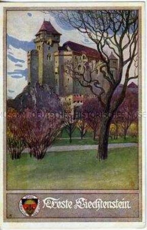 Veste Liechtenstein, Postkarte des Deutschen Schulvereins Nr.164