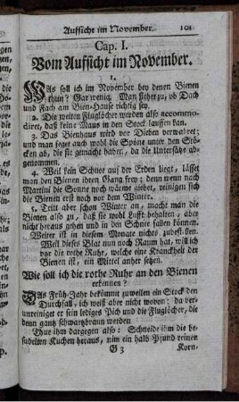 Vom Aufsicht im November.