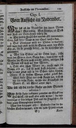 Vom Aufsicht im November.