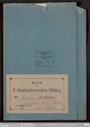 Insatz Neuse